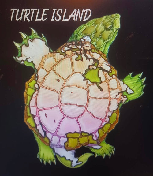 Turtle Island T-Shirt